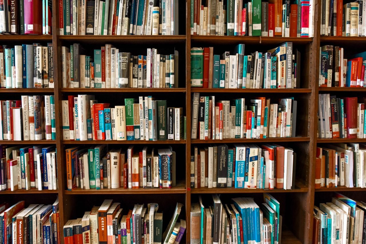 gallery-6 Vibrant library scene featuring wooden bookshelves filled with various books.