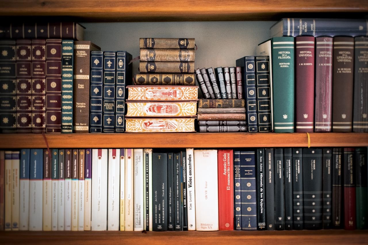 gallery-3 A detailed view of a bookshelf with vintage and classic books arranged neatly, offering a historic ambiance.