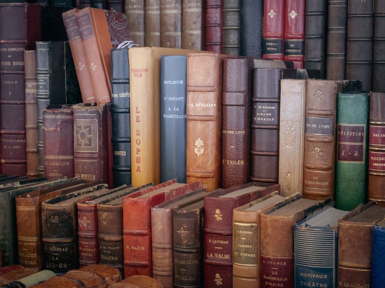 Explore a diverse collection of vintage leather-bound books featuring various titles and classic designs.